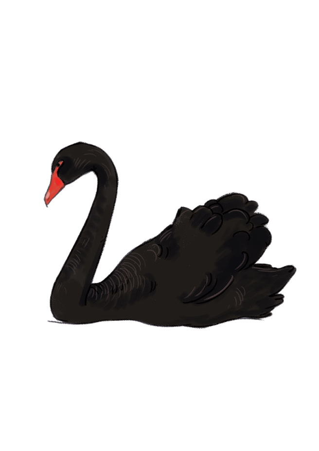 black swan copy